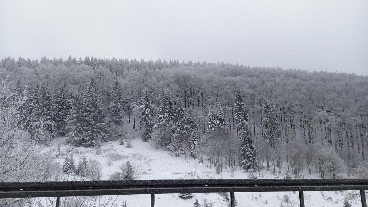 Monteur- Und Ferienwohnung Waldrauschen Fehrenbach エクステリア 写真