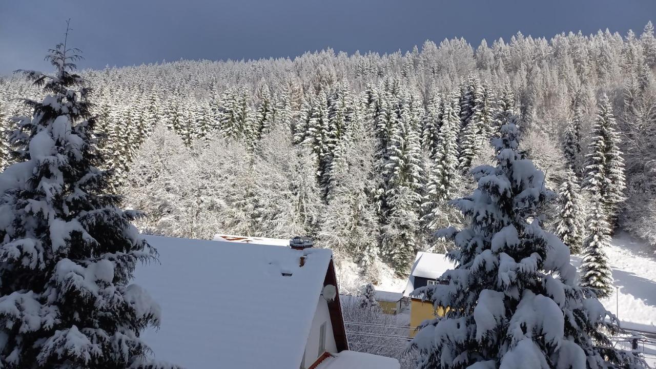 Monteur- Und Ferienwohnung Waldrauschen Fehrenbach エクステリア 写真