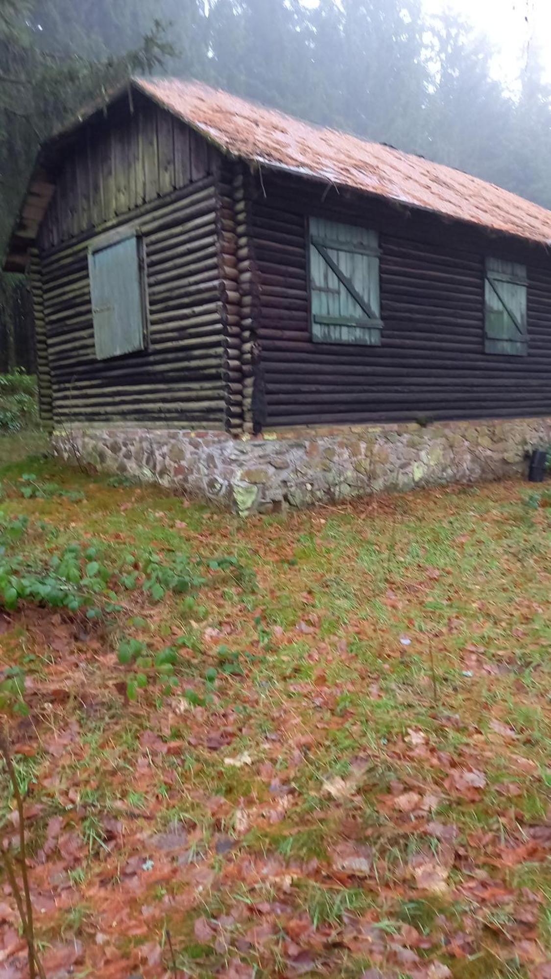 Monteur- Und Ferienwohnung Waldrauschen Fehrenbach エクステリア 写真