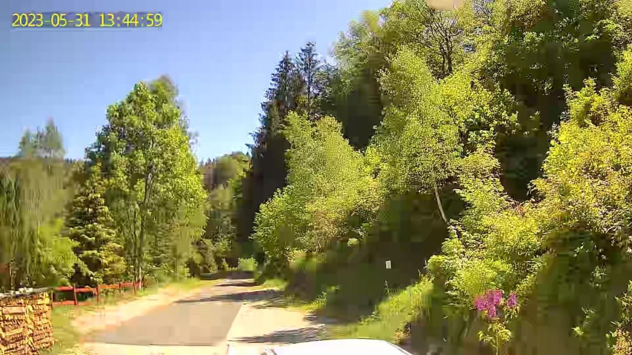 Monteur- Und Ferienwohnung Waldrauschen Fehrenbach エクステリア 写真
