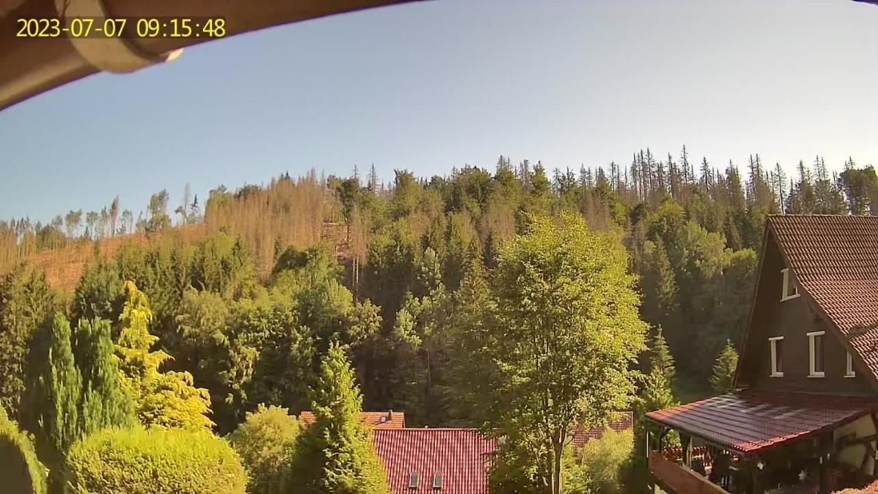 Monteur- Und Ferienwohnung Waldrauschen Fehrenbach エクステリア 写真