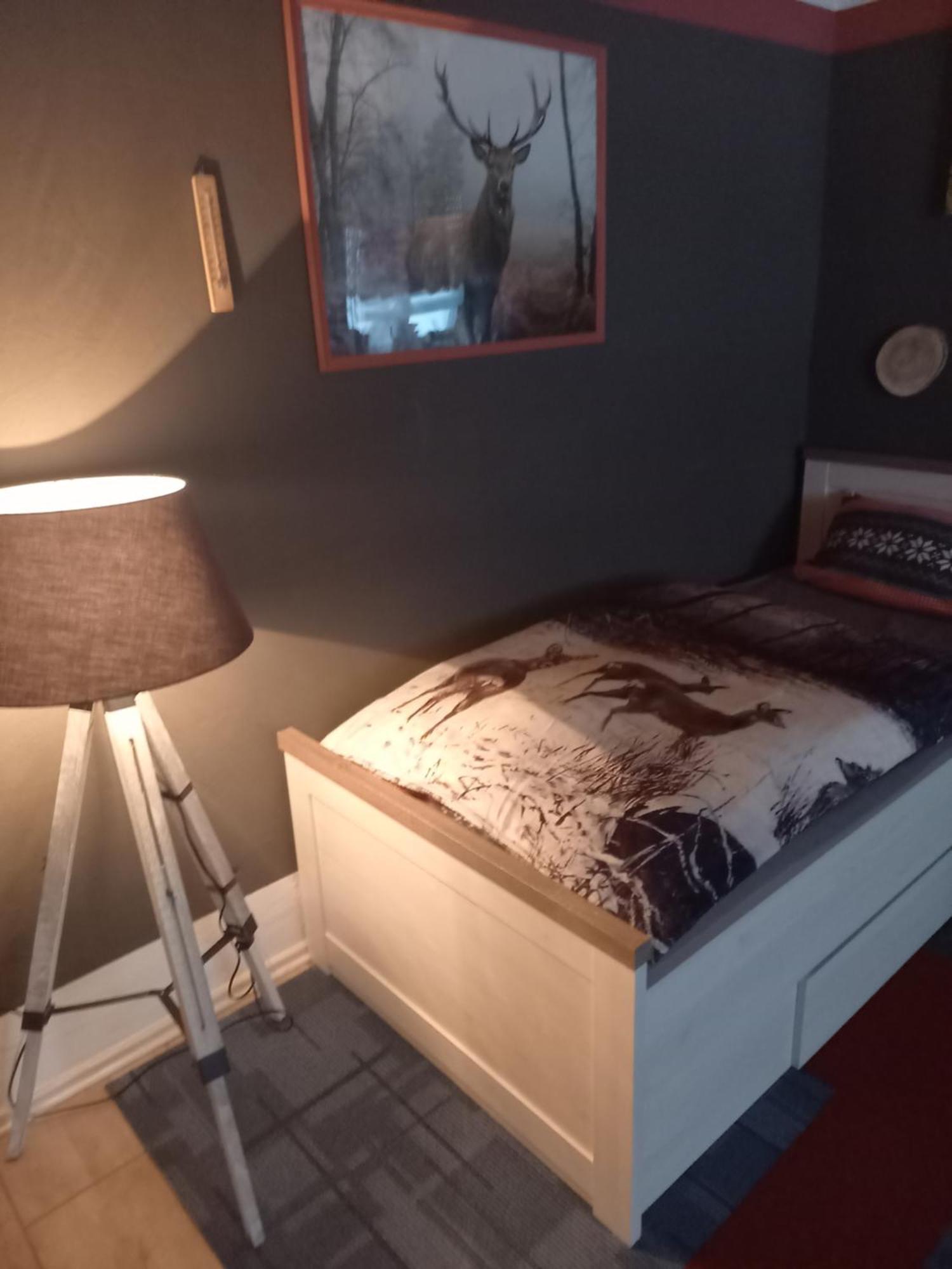 Monteur- Und Ferienwohnung Waldrauschen Fehrenbach エクステリア 写真