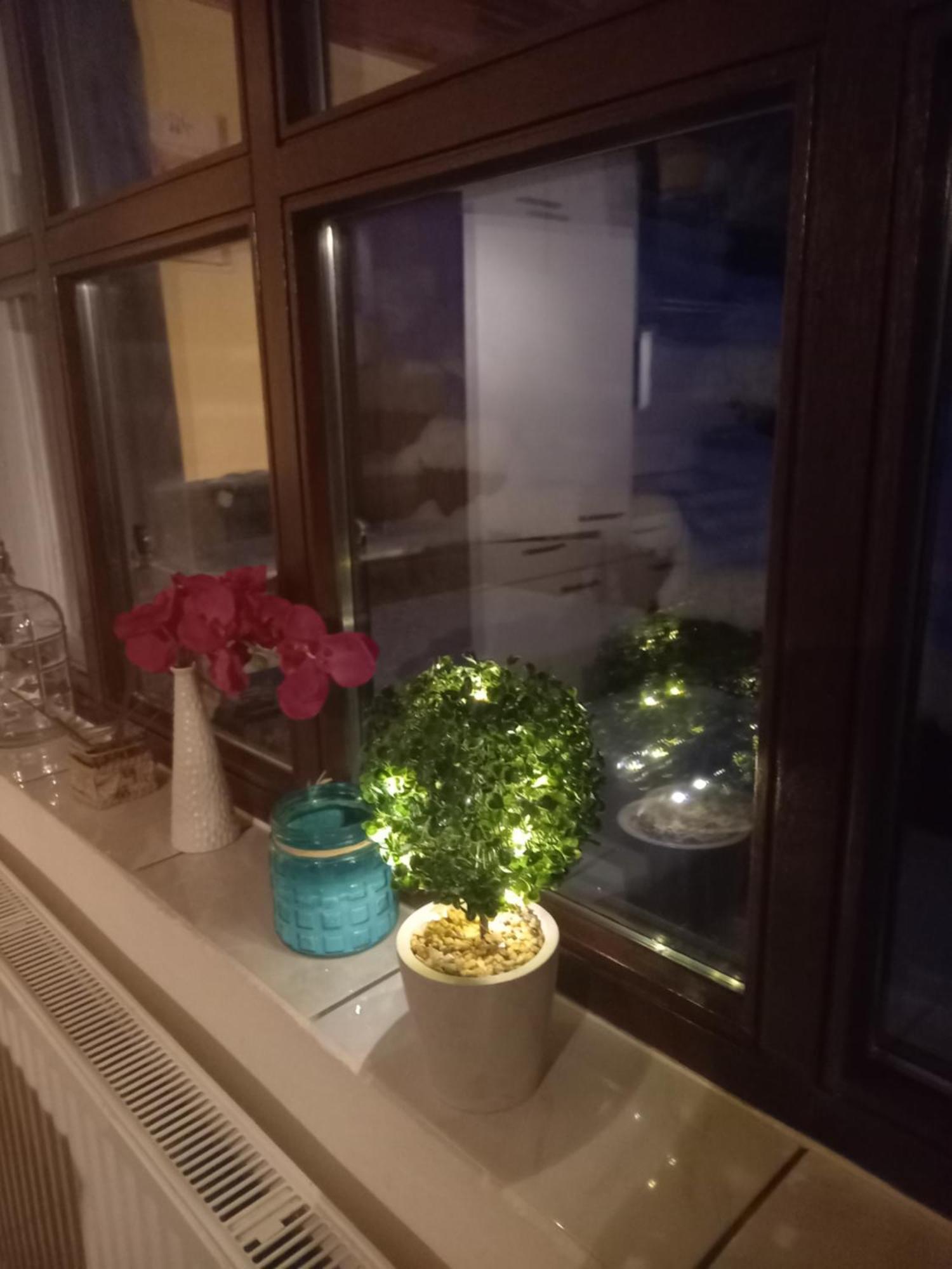 Monteur- Und Ferienwohnung Waldrauschen Fehrenbach エクステリア 写真