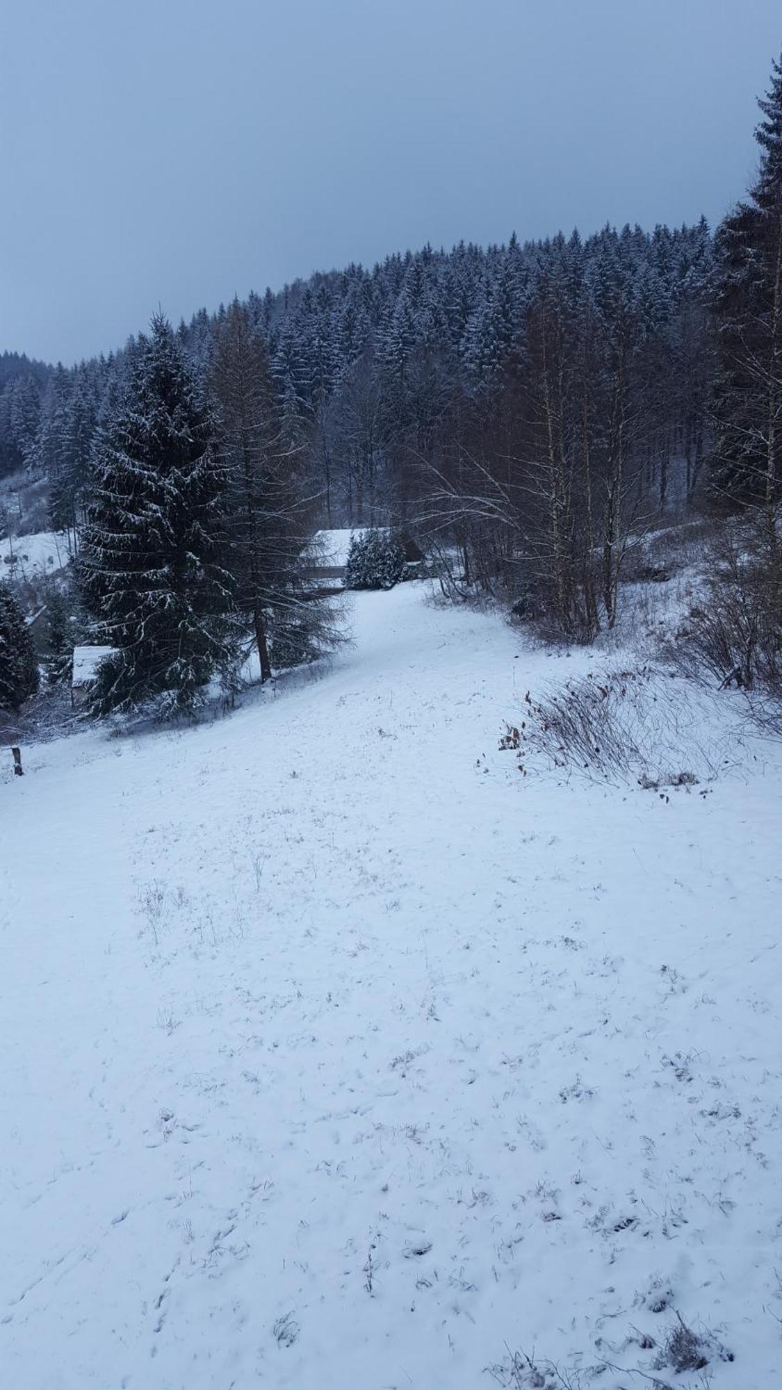 Monteur- Und Ferienwohnung Waldrauschen Fehrenbach 部屋 写真