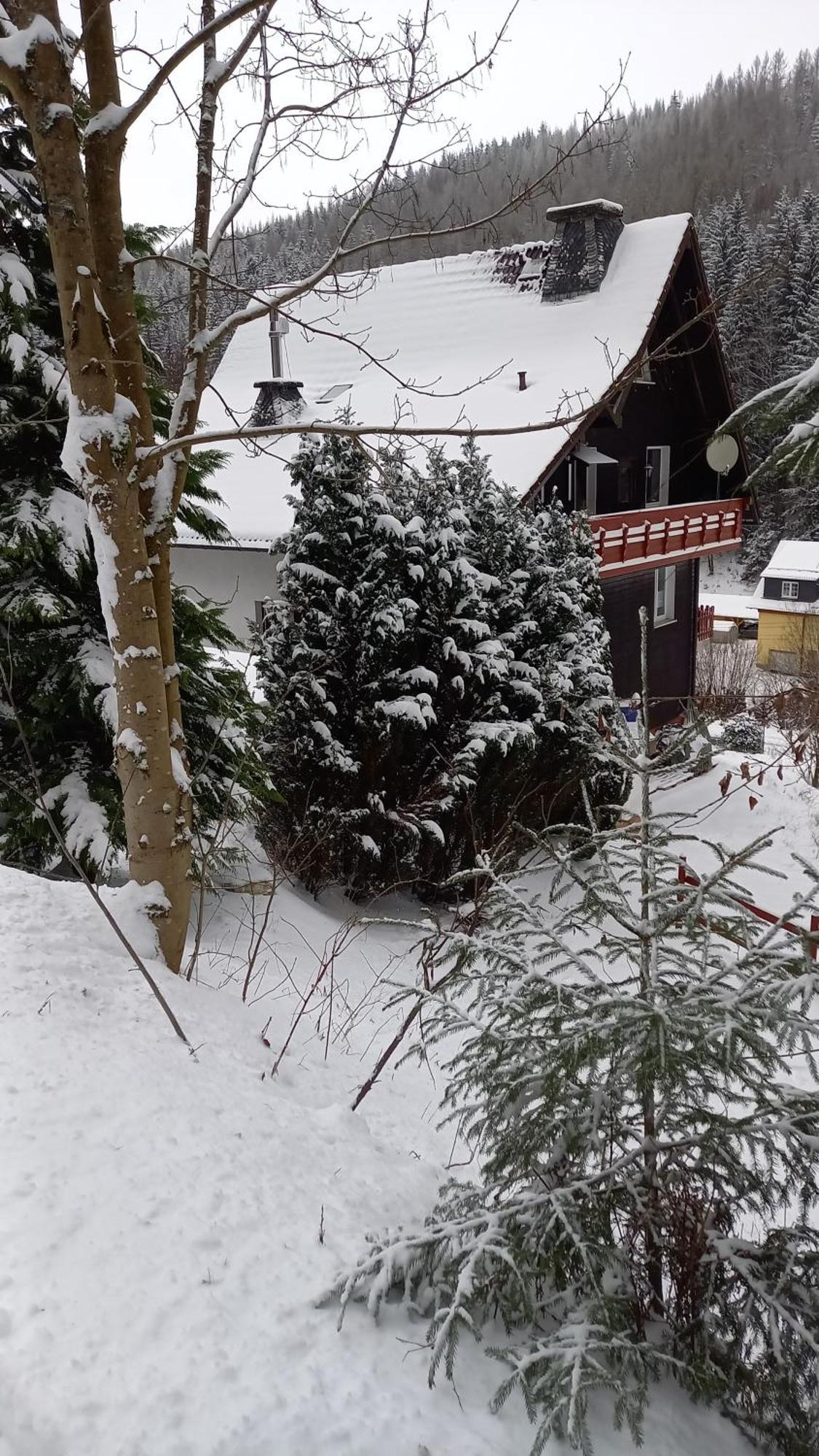 Monteur- Und Ferienwohnung Waldrauschen Fehrenbach 部屋 写真