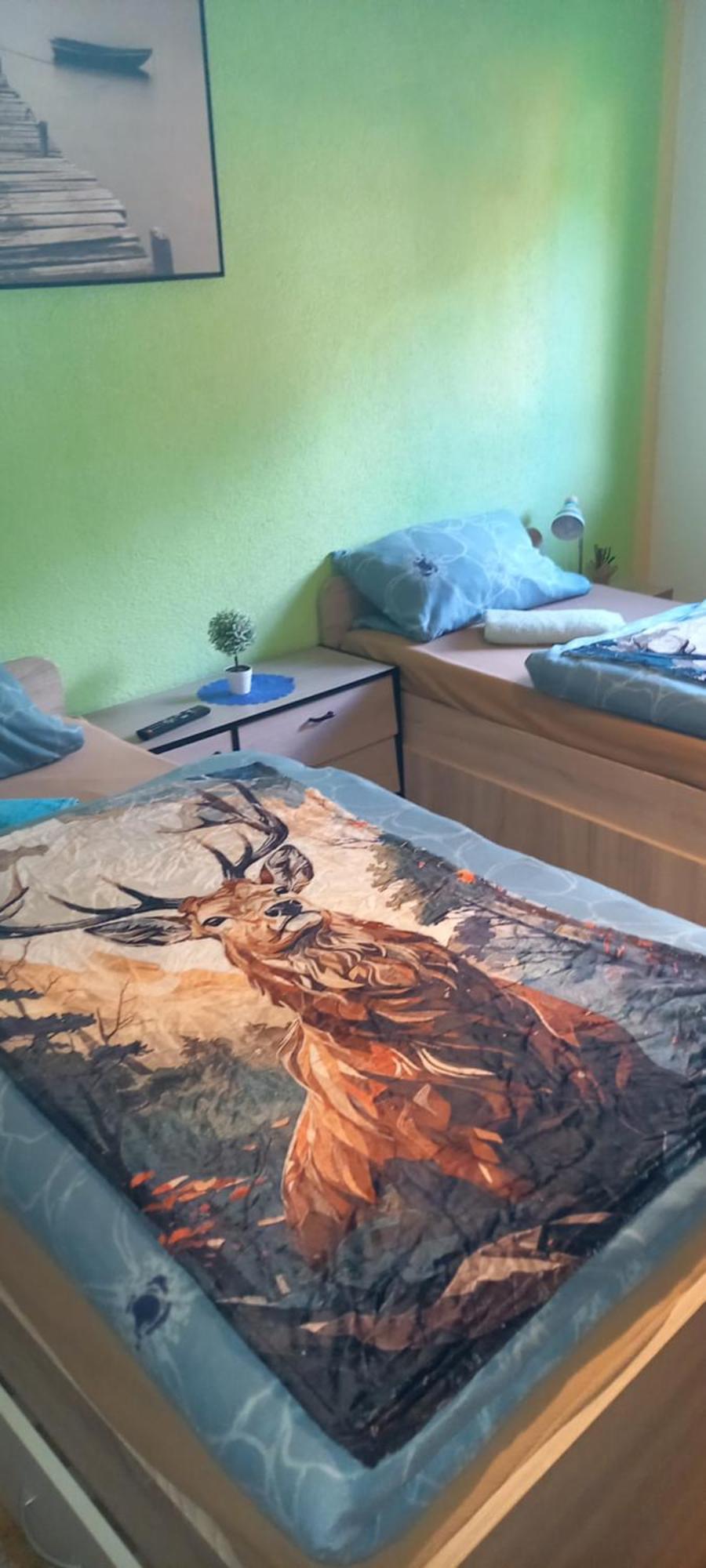 Monteur- Und Ferienwohnung Waldrauschen Fehrenbach エクステリア 写真