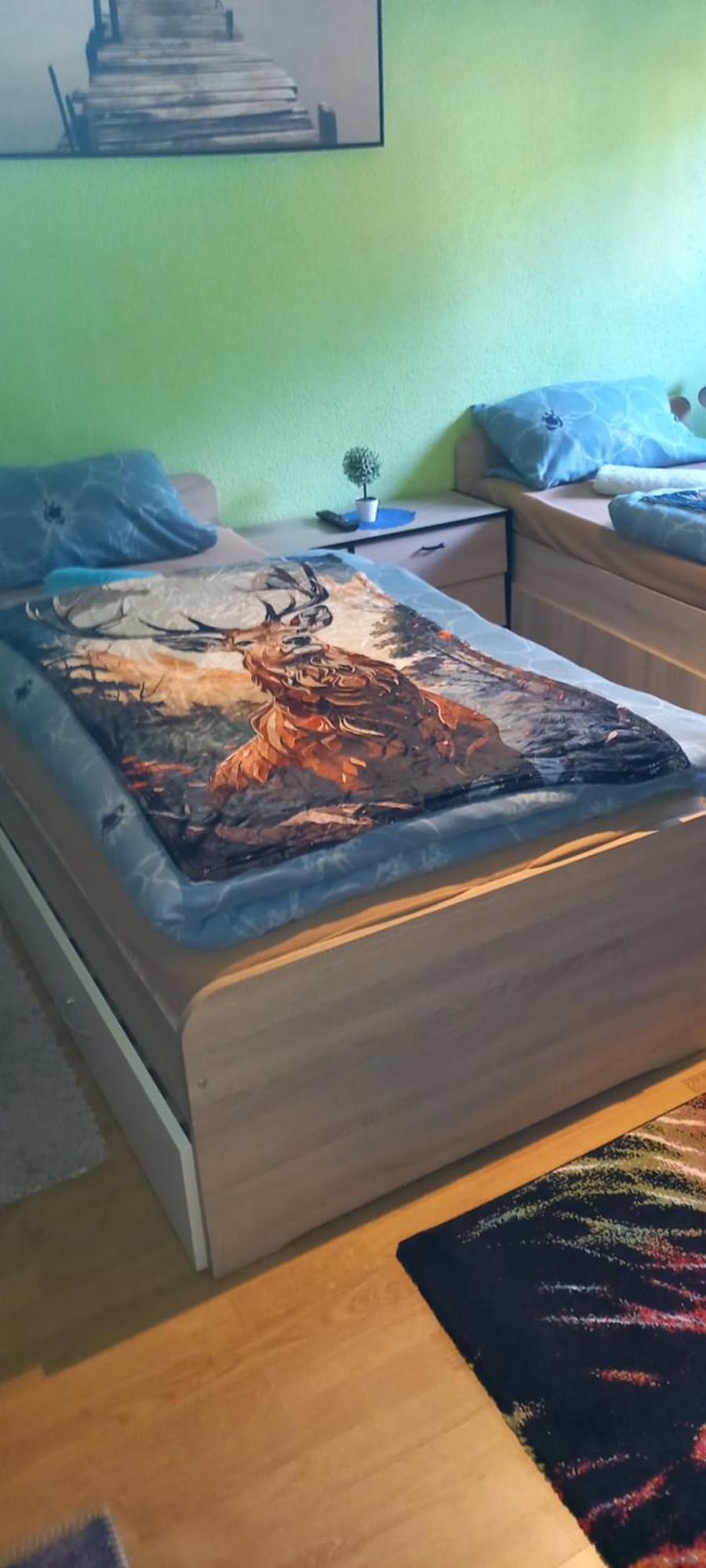 Monteur- Und Ferienwohnung Waldrauschen Fehrenbach エクステリア 写真