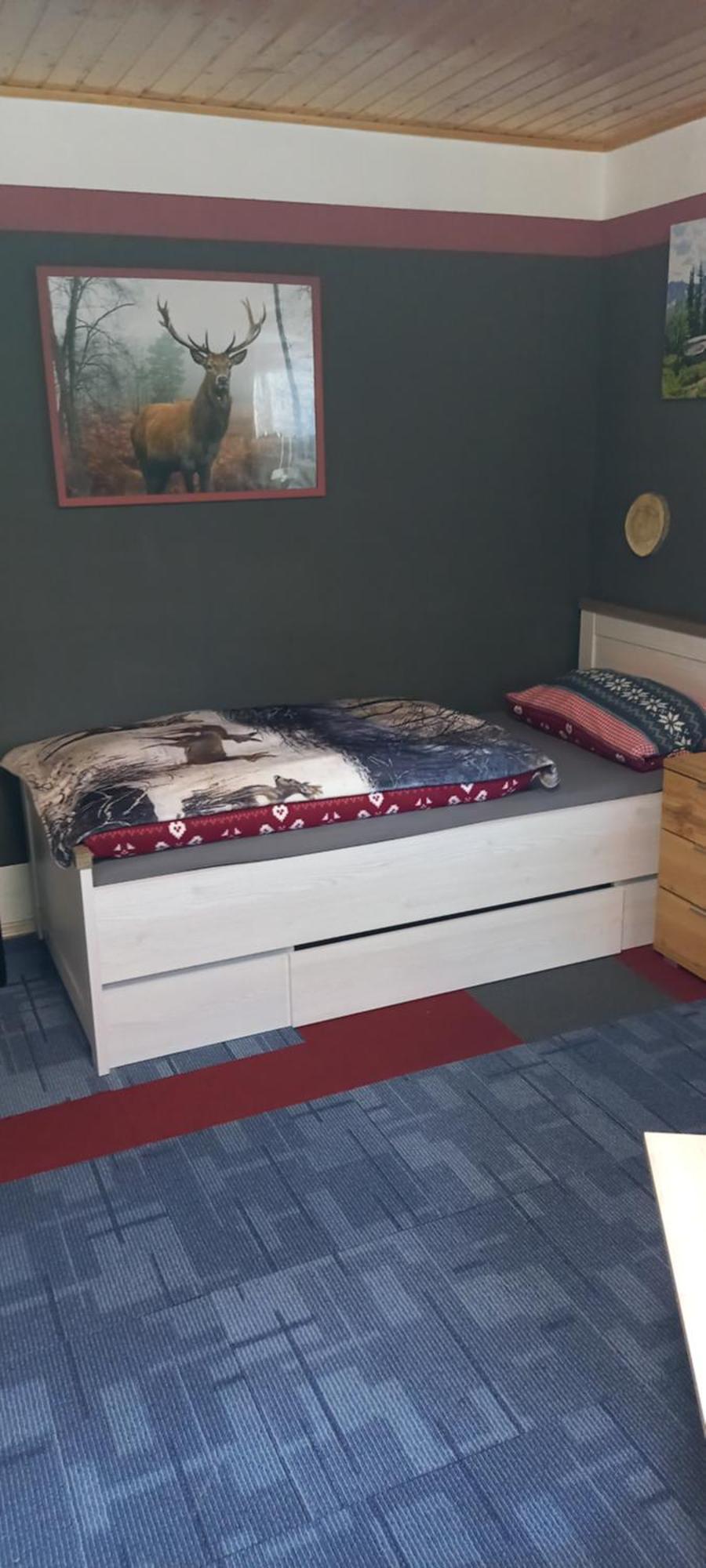 Monteur- Und Ferienwohnung Waldrauschen Fehrenbach エクステリア 写真