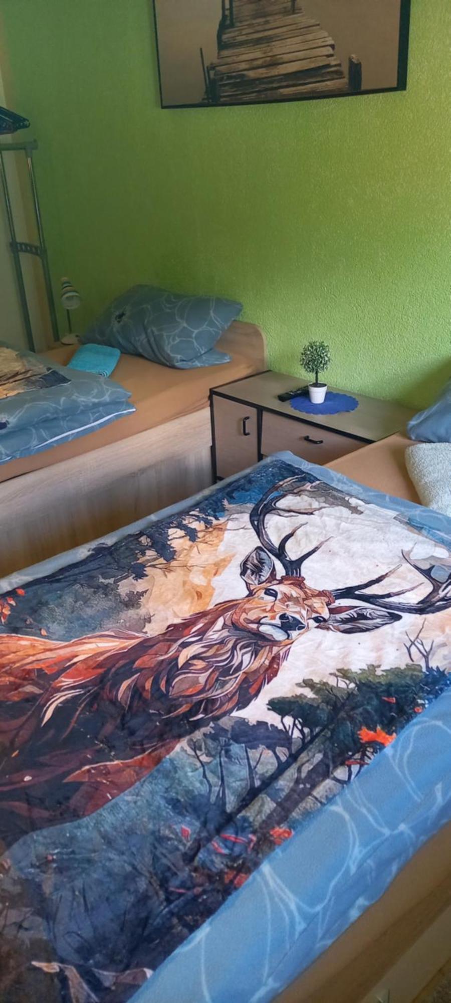 Monteur- Und Ferienwohnung Waldrauschen Fehrenbach エクステリア 写真