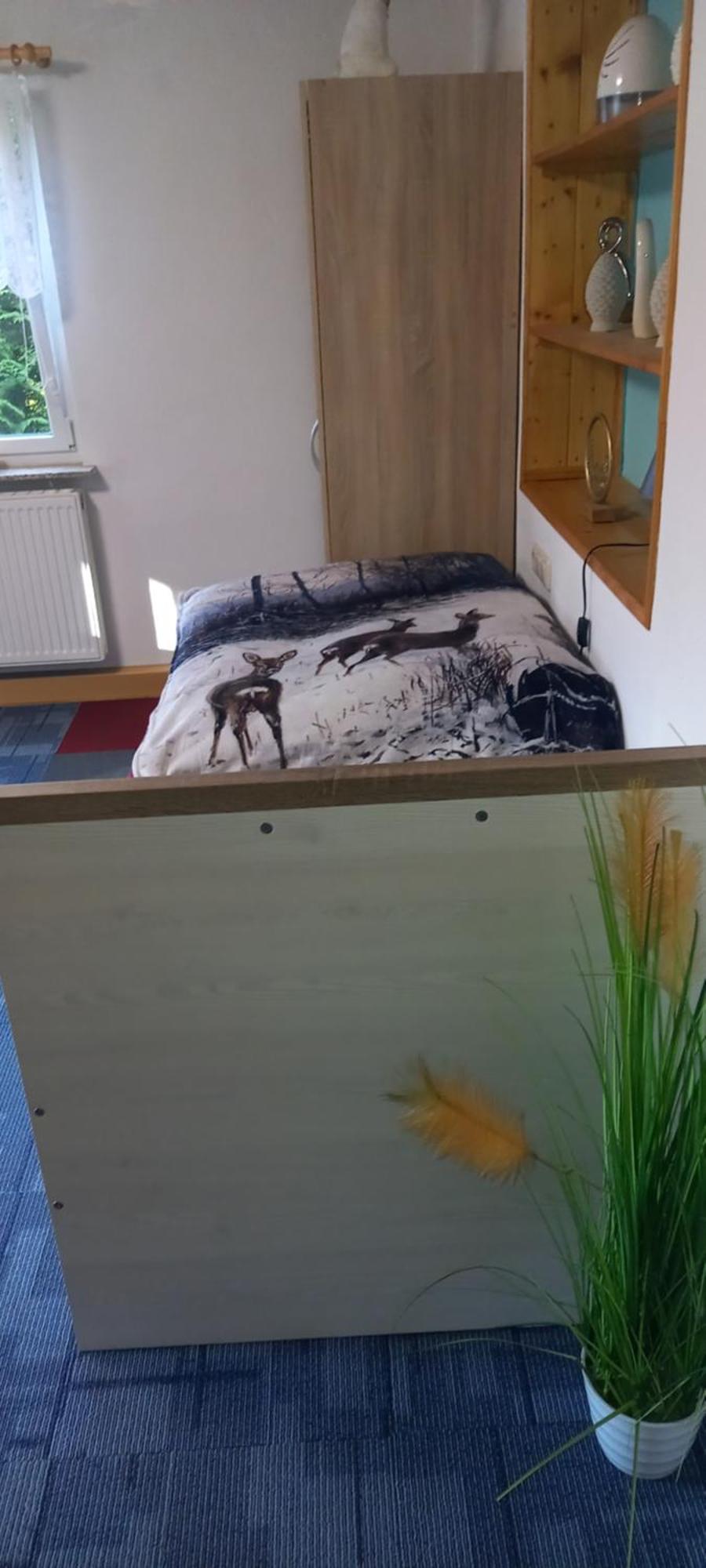 Monteur- Und Ferienwohnung Waldrauschen Fehrenbach エクステリア 写真