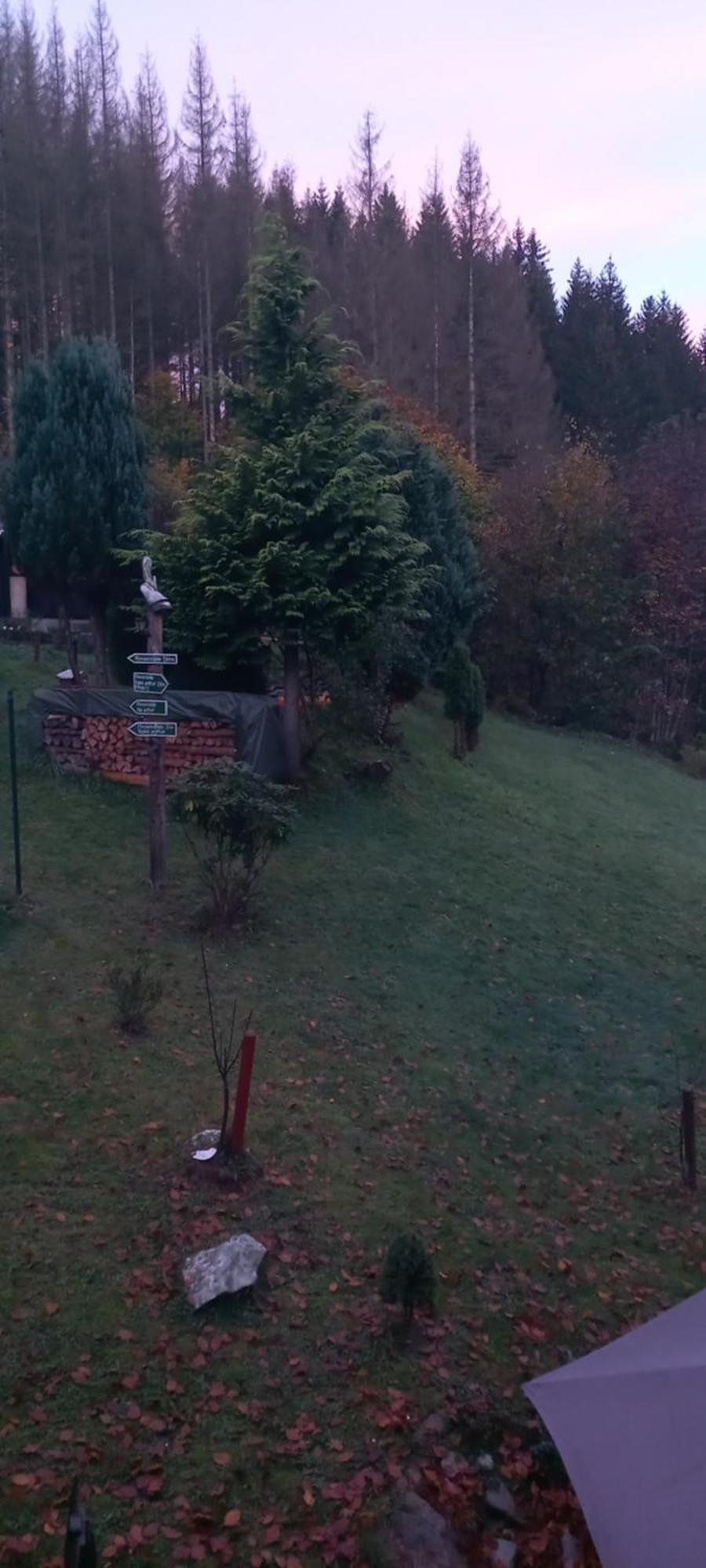 Monteur- Und Ferienwohnung Waldrauschen Fehrenbach エクステリア 写真